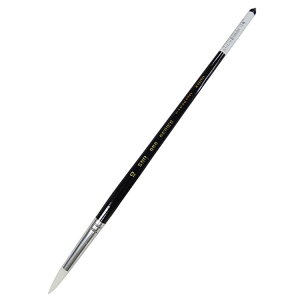 {pH| iCʕMSNR666 ی^ 10yiz