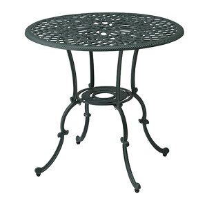 ^JV[ t[ K[fe[u IGF-T05