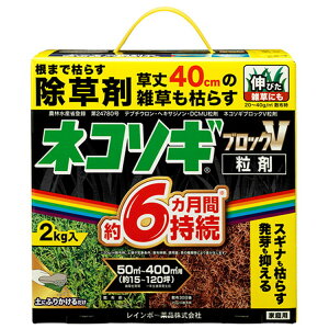 i摜