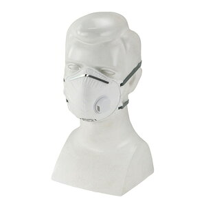 藤原産業 SK11 使い捨て式防じんマスク2枚入 No.9600-DS2V