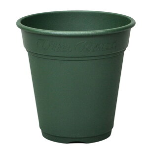 AbvEFA[ [A|bg 240K^ O[yiz