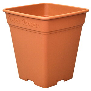 AbvEFA[ [AXNGA 330K^ uEyiz