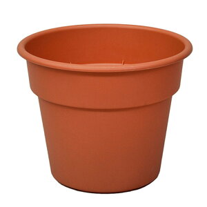 AbvEFA[ AP|bg 10 eRb^yiz