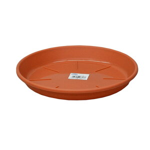 AbvEFA[ MAP 8 eRb^yiz