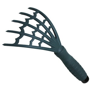 Y g 肪N}f SGK-1m Fn