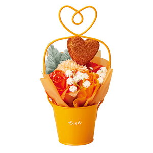 O[nEX n[g\[vt[ 5495-OR