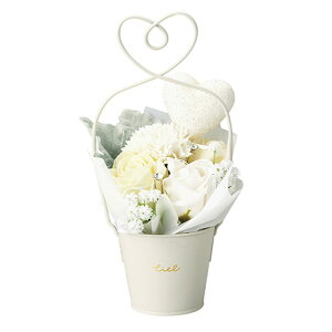 O[nEX n[g\[vt[ 5495-WH