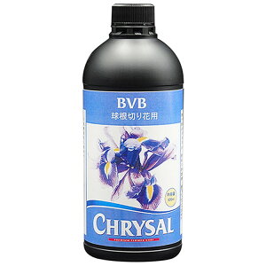 BVB؂ԗp 500ml