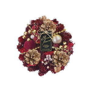 O[nEX CMi`[XSS CM1685-D