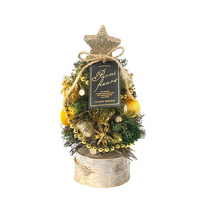 O[nEX CMi`c[IuWF CM1721-C