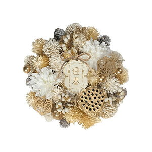 O[nEX NYWplXN[X S NY510-D