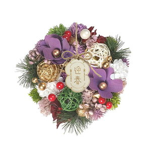 O[nEX NYWplXN[X S NY511-D