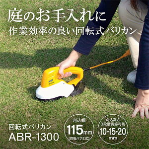 Z([r) ]oJ ABR-1300 693250AmŊ@ Ŋ@n