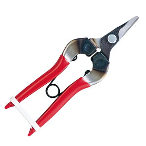 m2܂ł䂤pPΉnAX c(uX^[pbN) 310-D-K-BP