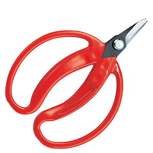 m5܂ł䂤pPΉnAX ̎ (|ܓ) 430