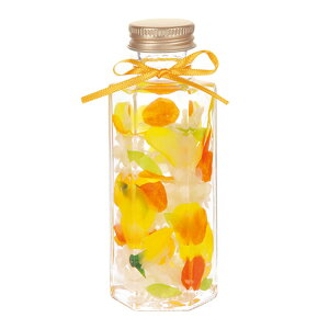 ق肫 j[ãn[oE D Lo