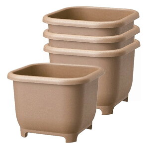 }g eco&ecoECv^[ 4Zbg p32^