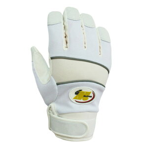 �~�G���[�u �h���h����� S �z���C�g