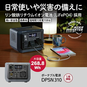 ���Z��(�����[�r) �|�[�^�u���d�� DPSN310 590300A