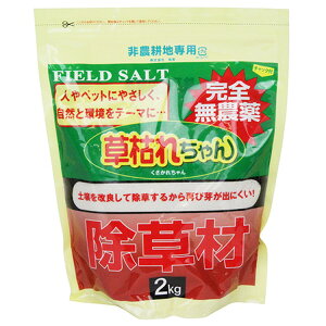 ���S�g�E GT���͂ꂿ��� 2kg