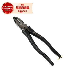 �t�W�� �e�R�y���ΐc�p���[�y���`(����)225 3000SP-225BG