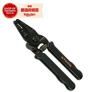 �t�W�� �����d�H�y���`�~�j(�t�@�X�g���[�q�p) FA203S