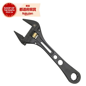 �m2�܂ł䂤�p�P�Ή��n�t�W�� �M�A�t�����L�[�����`(����) FGL38-BG