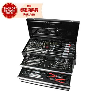 �y�����z�����Y�� SK11 �����H��Z�b�g �u���b�N 133�_ SST-16133BK�m�v������ �e�탁���e�i���X ������ ���]�� �o�C�N DIY�n