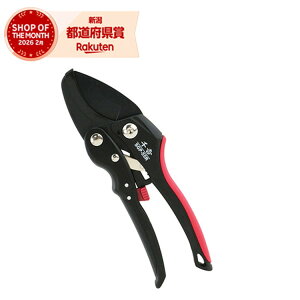 �y�����z�m2�܂ł䂤�p�P�Ή��n�����Y�� ��g �I�[�g���`�F�b�g������ SGP-55R