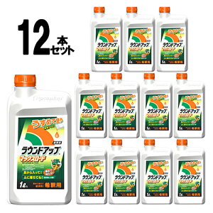 Yw  EhAbv}bNX[h 1L 12{Zbg