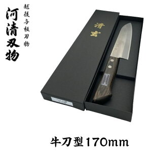 ͐n  nCX| ^ 170mmyz ^ Őn 킹͂́z