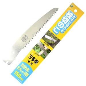 ny Tt}؋֐n 150mmŷ  } AEghA diyz