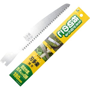 ny Tt}؋֐n 180mmŷ  } AEghA diyz