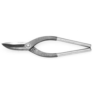 H쏊 z̋  GOn270mmyi  H ؂͂ ؂oT~ ؂ Jbg diyz