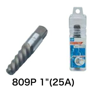 Light(Cg@) ܂pCv 1"(25A) 809Pyi diyz