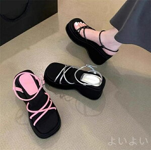 yz t@bV lC  d ʋΗp ₷ C fB[X xgT_ Xgbv  r