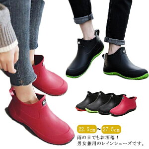 yzC V[g ʋ Y V[gu[c CV[Y h fB[X  JC JWA yA jp Ɨp