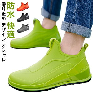 yz~ J Jp o[u[c JC CV[Y Jp V[g Xj[J[ Cu[c y Sh