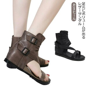 yzW[ TCht@Xi[ u[cT_ V[gu[c EFbW\[ I[vgD fB[X T}[u[c n