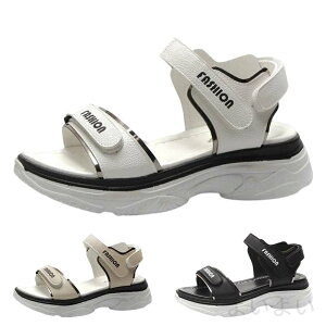 yz^C JWA y h _炩NbV PU ɂȂ ₷ Xj[J[T_ fB[X X|[cT_