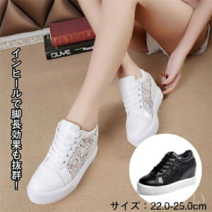 yz22.0-25.0  Vv l ėp  킢  Cq[ r bV fB[X