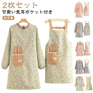 yzO[ sN u[ Ǝ wZ v[g ̓ Mtg ۈm ԕ JtFGv XbN fB[X ؍ 