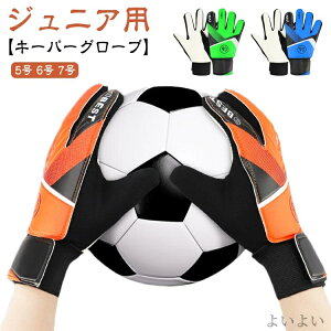 yzKp w g[jOp TbJ[ L[p[O[u L[p[O[u tbgT LbY S[L[p[ WjA