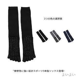 yzTbJ[ \bNX 5{w\bNX tbg{[ 24`26.5cm XgbLO  Y C ^ nC\bNX ~