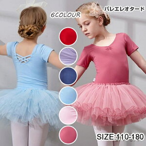 yzǂ qǂ oGI^[h oGpi LbY WjA V̑ \ I^[h s[X q