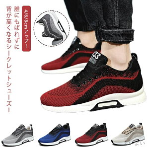 yzgAbv  H t  fB[X Y Cq[V[Y JWA Xj[J[ V[NbgV[Y 4/6/8cmAbv