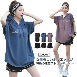 yz n[tpc  }} p p tBbglX TVc  gbvX