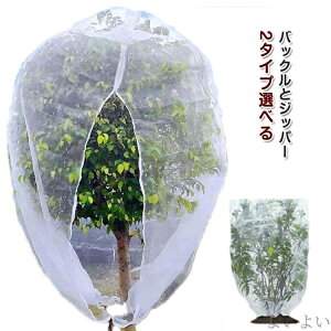 yzWbp[t hlbg ؖ ؉ ؍͔| Ap  2^CvIׂ h DIY obNt |plbg