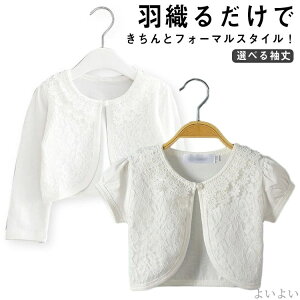 yz t zCg {Q sAm\  p[eB[hX K[Y Pl Rbg HD Iׂ鑳