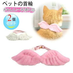 yzL  2Zbg Vg̉H sN+zCg   ybg̎ ybgpi ߉\ y opi Be lR   L̎ Lт TCY߉